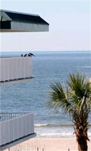 Ocean Song At Beachside Colony Apartamento Tybee Island Exterior foto